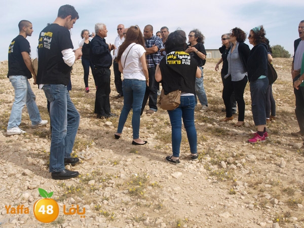 arddaynaqav331 (2).jpg